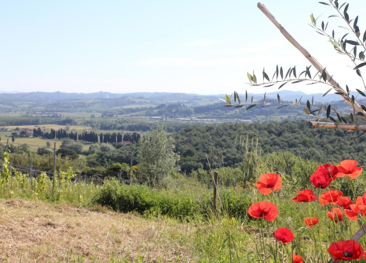 Tuscany Life Terricciola Exterior foto